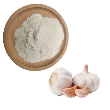 Sale fresh Garlic Extract 1% Allicin Garlic Extract